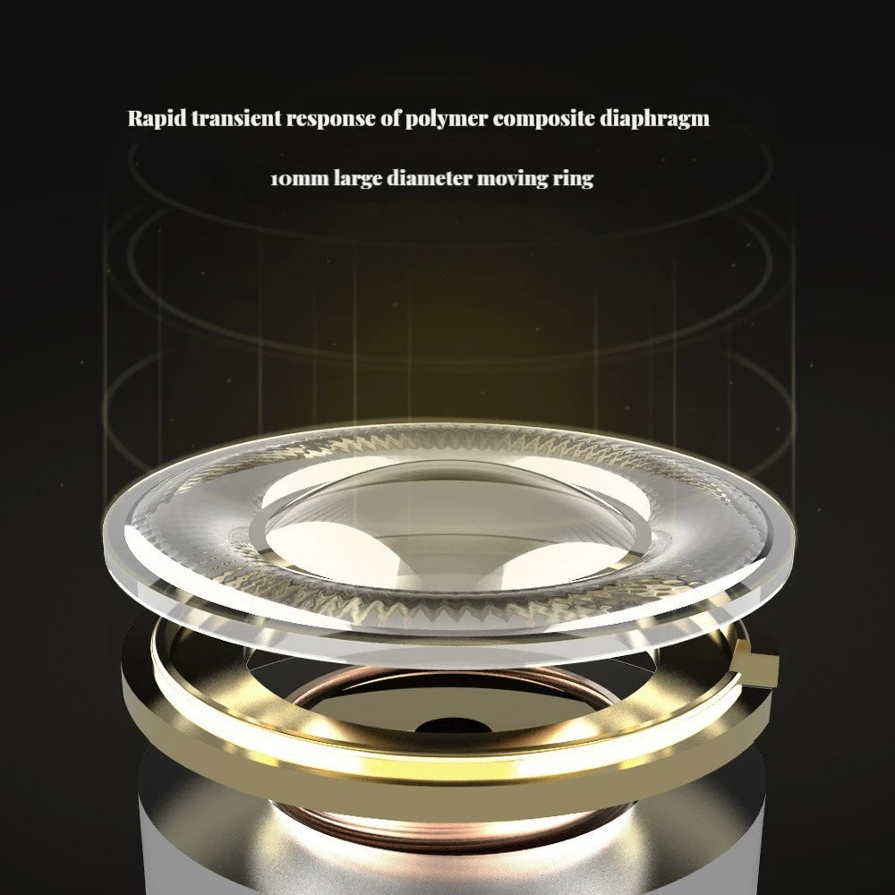 KZ ZSTX - In-Ear Headphones